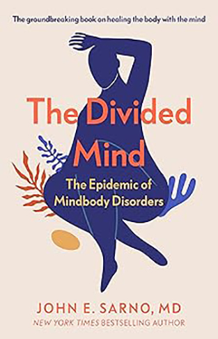 The Divided Mind - The Epidemic of Mindbody Disorders